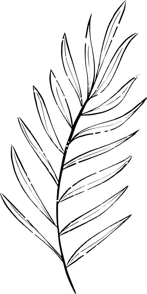 Decorative Plant Left